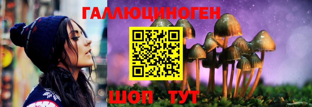 Меф мяу мяу Ставрополь